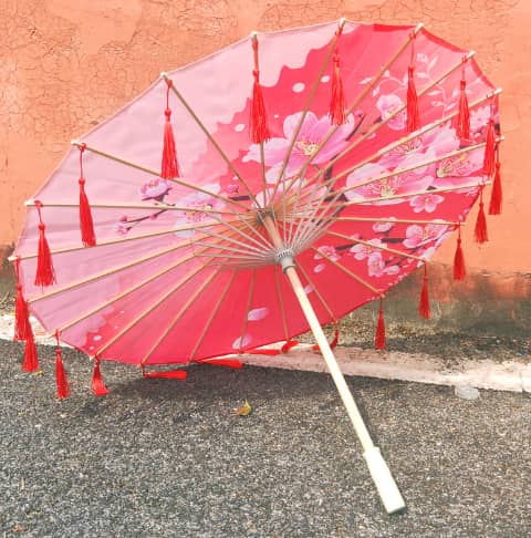 PARACOSMIC Bamboo Parasol